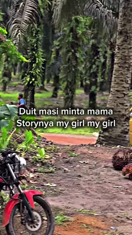 😒😒😒😒#drivermuda #buruhtani #sawitbalap #pemuatsawit #kuliboy🤙😜🚀 #yfp #kurirsawit 