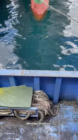 #sangihetiktok #kmmercyteratai #mercyteratai #mercymainrpm #papymercy #papyecy #mercyterataicrew #kudaputihtahuna #kudaputih #manadosadap🔥 #kapalcepatmalam🔥 #xyzbca #fypシ #foryoupage #kmmercyterataipalingspan🤪 #mercygstelintasan #torpedotahuna #torangtml #fypppppppppppppppppppppppppppppppppppppppppppppppppppppppppppppppppppp #fypppppppppppppppppppppppppppppppppppppppppppppppppppppppppppppppppppp #fypppppppppppppppppppppppppppppppppppppppppppppppppppppppppppppppppppp #fypppppppppppppppppppppppppppppppppppppppppppppppppppppppppppppppppppp #fypppppppppppppppppppppppppppppppppppppppppppppppppppppppppppppppppppp #fypppppppppppppppppppppppppppppppppppppppppppppppppppppppppppppppppppp #fypppppppppppppppppppppppppppppppppppppppppppppppppppppppppppppppppppp #fyp 