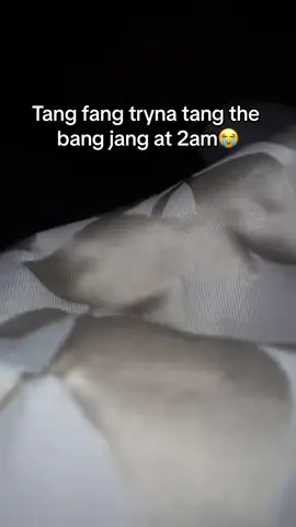 Tang fang tangin da bang jang again😂#iamkmo #tangfang #fyp 
