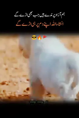 #unfrezzmyaccount #foryoupage 