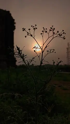 غم ہی پھر ایسا ملا بات نماز تک جا پہنچی  فقط ایک سجدہ کیا اور داستان خدا تک جا پہنچی  🖤✨