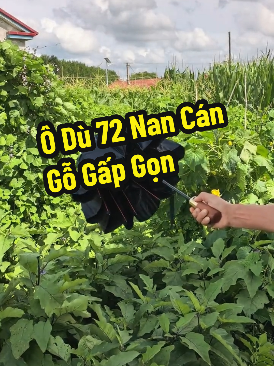 Ô Dù 72 Nan Cán Gỗ Gấp Gọn #ogapgon #ochenang #ochemua #donodiatrungquoc #_hangnoidiatrungquoc_ 