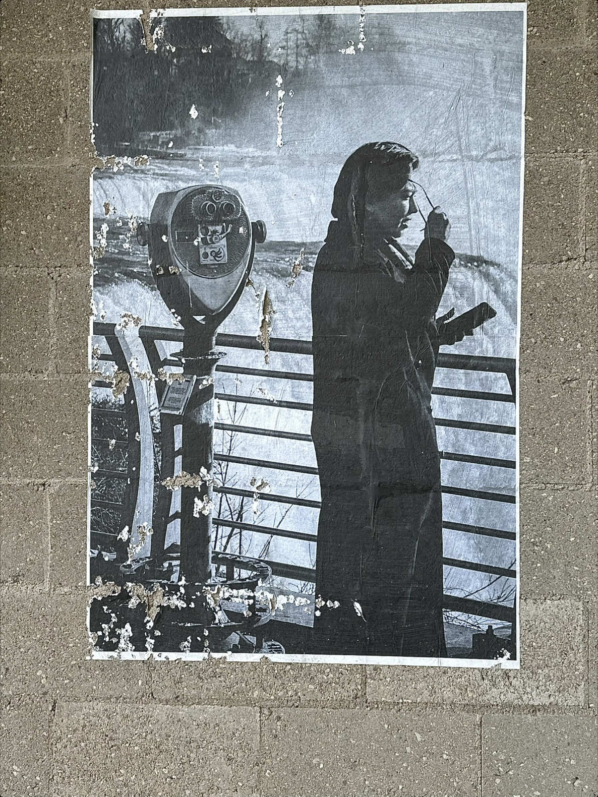 813 Cleveland ave  Abandoned  #tartarianempire #oldworld #niagarafalls 