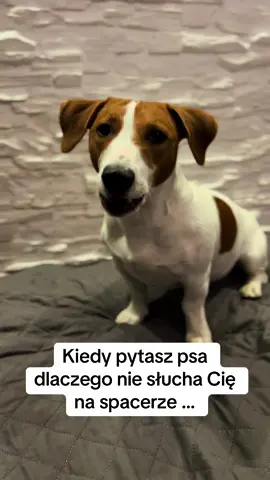 #na #wesoło #majlo #luli ❤️