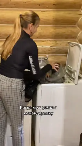 #конникипоймут #юмор #конеюмор 