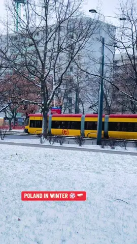 POLAND ♥️🇵🇱#foryoupage #foryou #poland #workpermit #uae #workpermit #schengen #europe #oman #visitvisa #bahrain #bahrain #applynow #doha #india #slovakia #newdelhi 