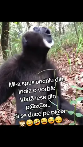 #amintire 