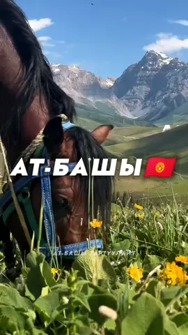 АТ-БАШЫЛЫКТАР БАРБЫ❓ Келгиле Лайк басалы❤️ Коментарий жазалы📝