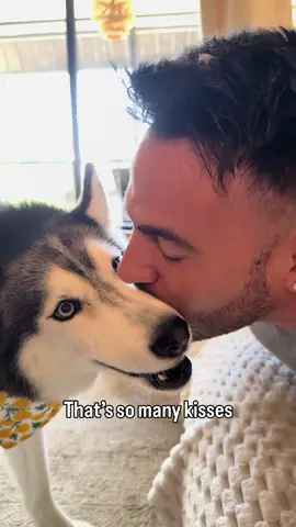 My Husky Loves Kisses 😘🥰
