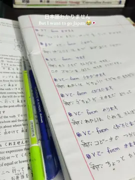 Japanese bujhi na kintu i want to go japan 😭🇯🇵 #foryoupage❤️❤️ #japaneselanguage日语 #japan #pleasegoviral #plzunfrezemyaccount #japaneselearner 