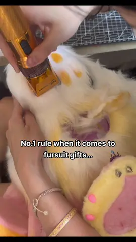 Before you pour hours of love, fur, and energy into making a fursuit head… make sure it’s something the person actually wants. Handmade fursuits aren’t one-size-fits-all. Give your work to someone who’ll truly treasure it—not stash it in a closet! ♥Creator：一只鸟/ blackbird #furry #fursuit #fursuitforsale  #kemono #fursuitmaker #furryfandom #kemonofurry #fursuiters #furryadopt #kemonofursuit #furries #furrycommunity #furriesofinstagram #furrybaby #furryartist #furryfriends #furriesofinstagram #furries #furrycommission #furryfandomart #furrylove 