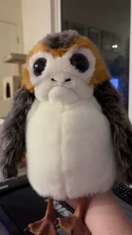 More porg puppetry for my amusement. #thebirdcage #nathanlane #puppet 