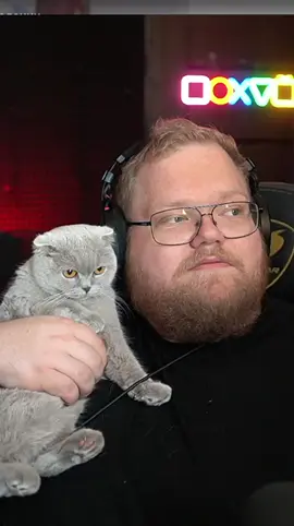 Twitch -T2x2 #t2x2 #t2x2twitch #fyp #cat  #memes