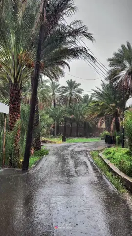 #مطر #فولو #اكسبلو #سلطنة_عمان🇴🇲 