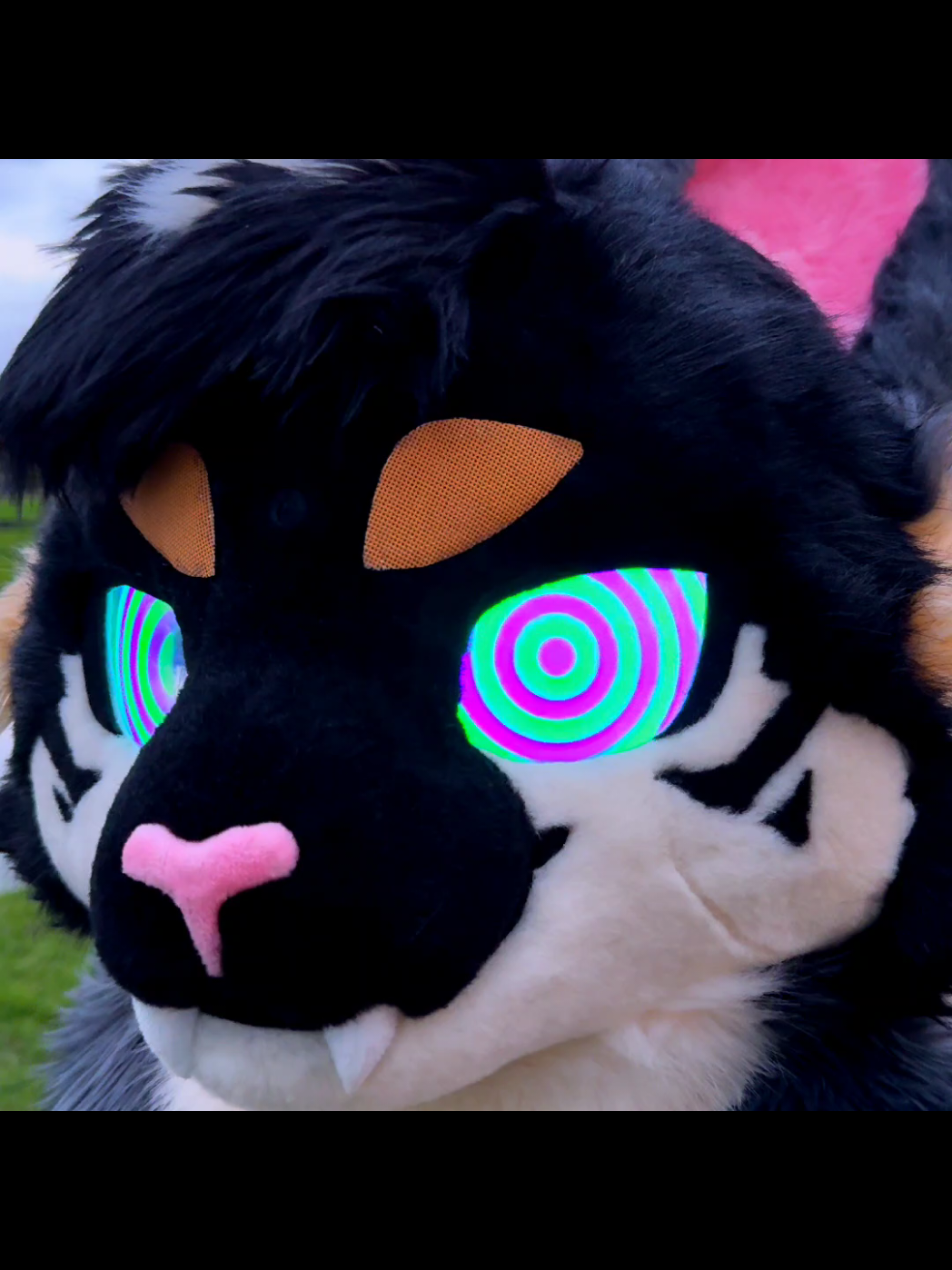 look into my eyes~#fursuit 