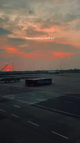 🤍 @Shanuka Ekanayake 🫡 #yannamma #airport #sunset #fyp #explorepage 