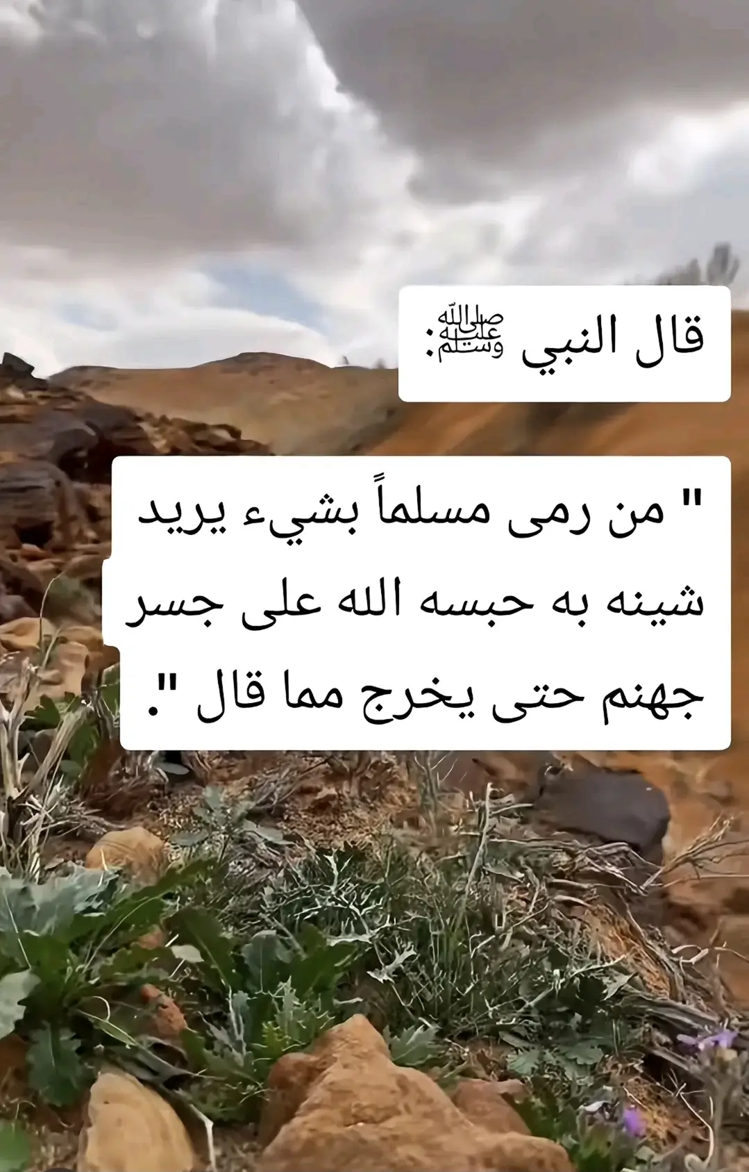 #اكتب_شي_توجر_عليه #اكسبلورexplore #حايل #ديكور #علاج_بالاعشاب #اخبار #طبيب #شعر #محمد #viral #fyp #اكسبلور #الرياض_جده_مكه_الدمام_المدينه #ديكور #العلا #نحت #اخبار #طبيب #الكويت #قطر #مكياج #شعب_الصيني_ماله_حل😂😂 #فوريو 