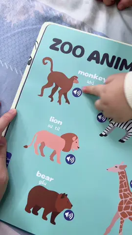 Trả lời @Tom handsome 👶🏻 Sách biết nói Song ngữ cho bé, tập nói tiếng Việt và làm quen với Tiếng Anh #sachbietnoi #sachtienganhchobe #sachsongngu #sachchobe #daycon #mevabe #tomhandsome  @Tom handsome 👶🏻  @Tom handsome 👶🏻  @Tom handsome 👶🏻 