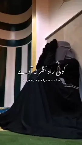 اینے دکھ نے اکو دکھ نال مر جاواں میں  🙏😢🤲🥀🕊️#viral #video 