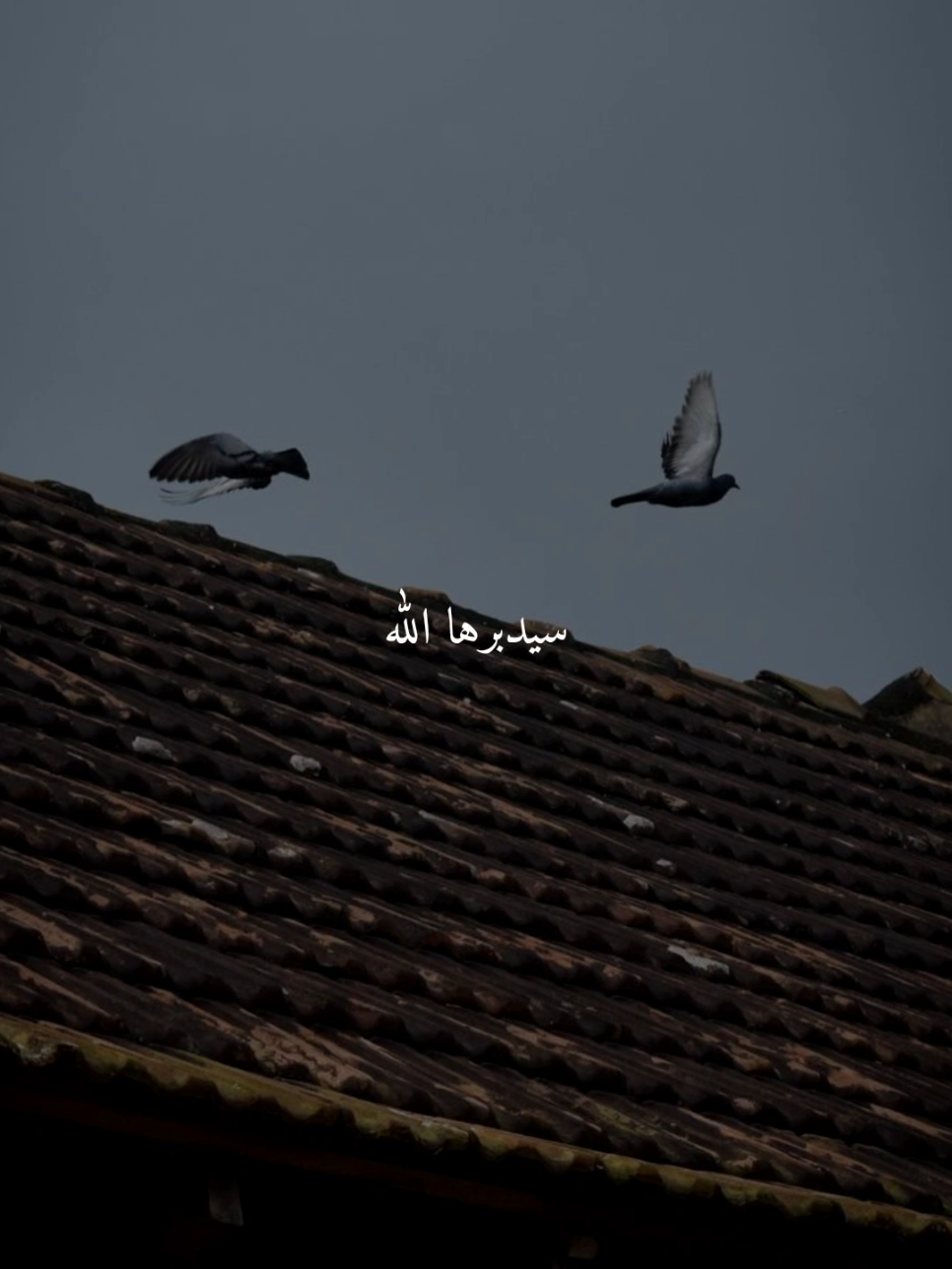 سيدبرها الله..🤎 #اللهم_امين #ادعيه #ادعية_اسلامية_تريح_القلب #ادعيه_تريح_القلب #اكسبلور 