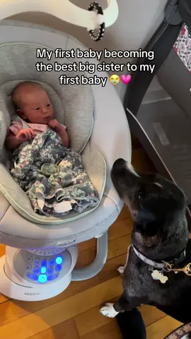 From their first meeting, my pup has been so sweet to our baby girl. I hope their relationship grows into something so sweet 💓 . #dogmeetsbaby #babyanddog #dogandbaby 