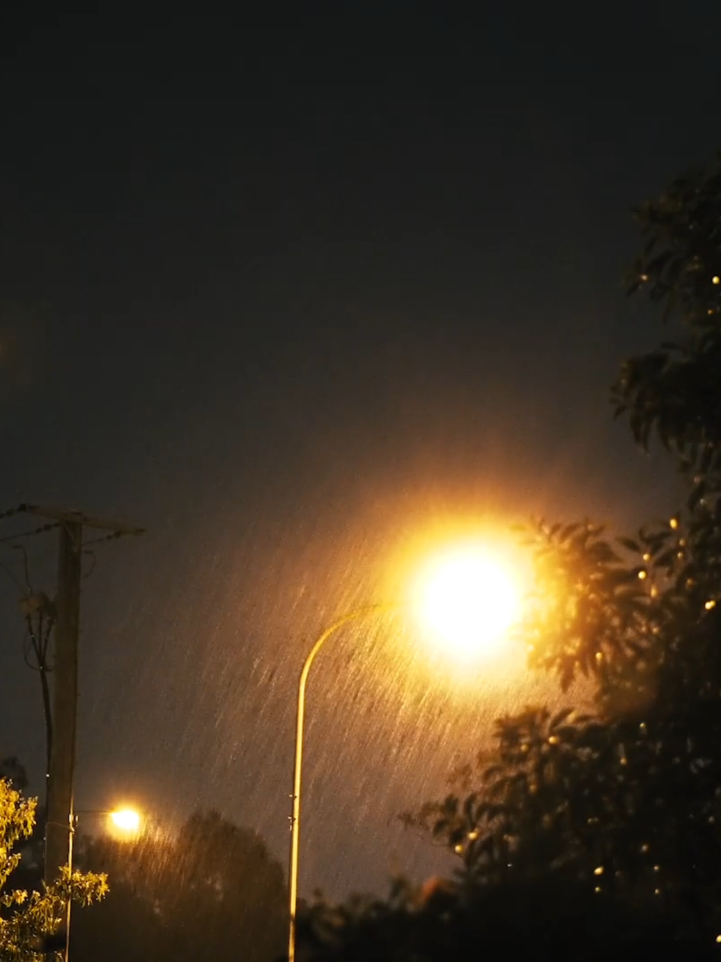 Drift into a deep, peaceful sleep with calming meditation music and the soothing sounds of a thunderstorm. Let the rain wash away your stress and ease your mind into total relaxation. 🌧️✨ #SleepSounds #RelaxingMusic #ThunderstormSounds #MeditationMusic #RainForSleep #DeepSleep #CalmingVibes #NatureSounds #Mindfulness #ASMR #SleepAid  #RainAndThunder  #Soothingsounds 