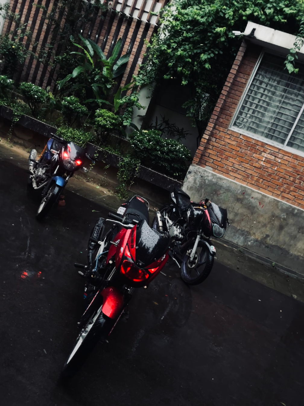 Raw clips😩🗣️#foryoupageシforyou #topfansfollowers #viralvideo #repost #police #kot #idfizze😭😭😭😭😭😭😭 #foryoupagereels #bikecolors #rakibrider1216 #pulsartopspeed ##foryoupageシforyou #viralchallenge2025 #idfreezed #modified200ns #fypシ゚viral #foryou #fypシ゚viral🖤tiktok #viralvideochallenge #reelschallengereelschallenge 