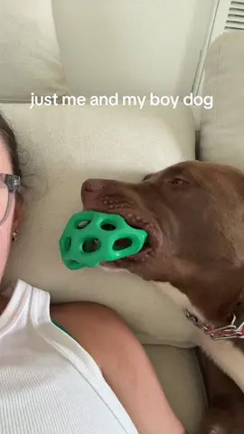 Zero personal space with my dog #fyp #boydogmom #mamacita #imamother #mommy #humor 
