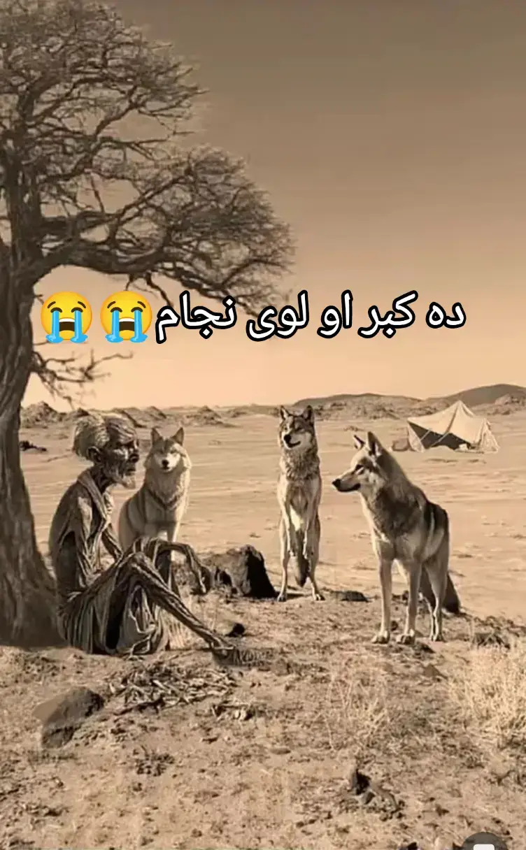 #islamicbayan #islamicbayan #viralvideos #foryou 