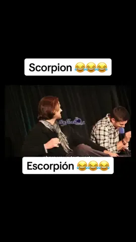 Video credit:  cyfloel #countdown #sandiegocomiccon #sandiegocomiccon2024 #comiccon #countdown  #tracker #jensenackles #weekbirthdayofdeanwinchester #jaredpadalecki #mishacollins #feliciaday  #spnsf #jib14 # #happybirthdaydean # #spnfamily #SPN#savethewinchesters #savewalkerindependence #renewgothamnigth #jensenackles #jensenacklesedit #SPNNJ #radiocompany #thewinchesters #theboys #jaredpadaleckijared #supernatural #mishacollins #jib11 #SPNATL  #happybirthdayjensen #jeffreydeanmorgan #acklesnation #padackles #bigsky #soldierboy #beau #genv #comicconliverpool #jib14 #spnjack #spnjacksonville #spnjax #spnhi #spnhl #spnhon #spnnash #supernaturalsub #supernaturalsubtitulado #vougthrising #kansas #jib15 #spnbos #supernaturalsubtituladoalespañol #countdown #countdownsub #countdownenespañol 