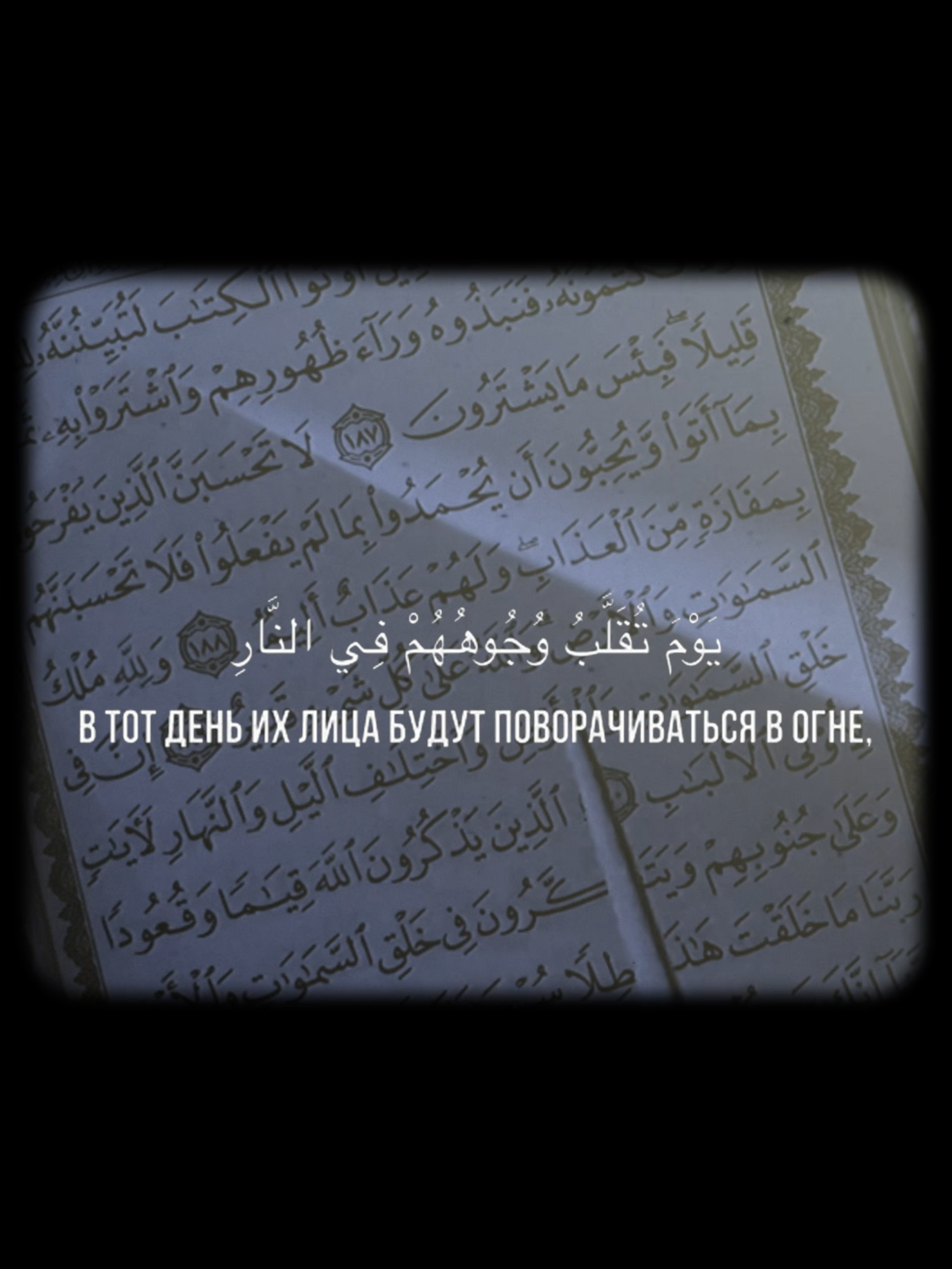 #quran