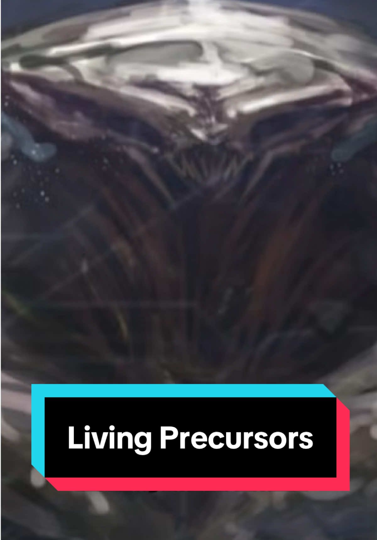 Halos most recent Precursor Encounter #Halo #halolore #fyp #kammyshep 