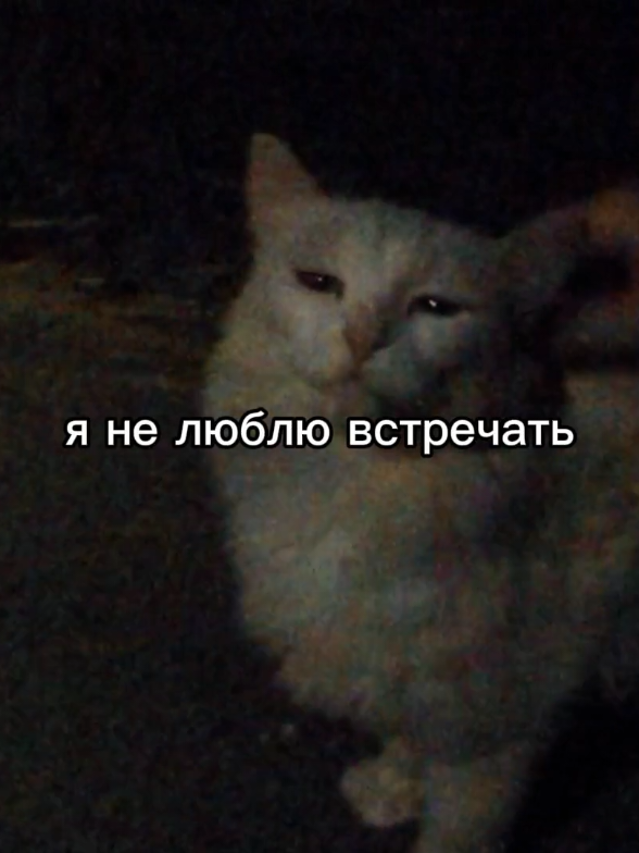 все треки с видео у меня в тгк: НЕФАСЯ #кишлак #максимфисенко #камера #музыка #рекомендации 