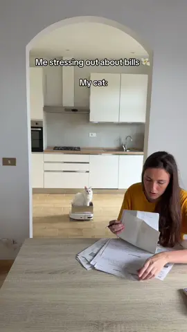 Still rent-free, living his best life #creatorsearchinsights #catsoftiktok #cute #fyp #cats #pets 