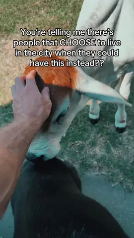 Who comes running to the truck to greet you when you open the door?? #country #countrylife #dogs 