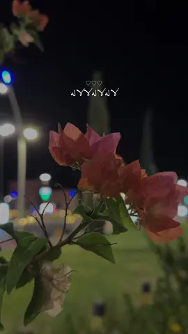 إللي جابك هـــو حبـــي والا شي مستخبي 😔♥️ @