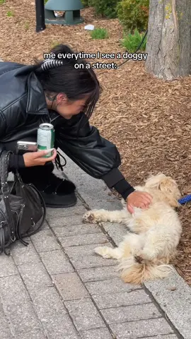 i love animals w my whole heart