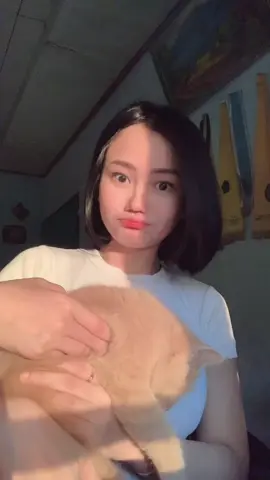 jadi pengen jadi kucingnya tokyo #initokyolagii #tokyovibes #cantikgakadabatasan 