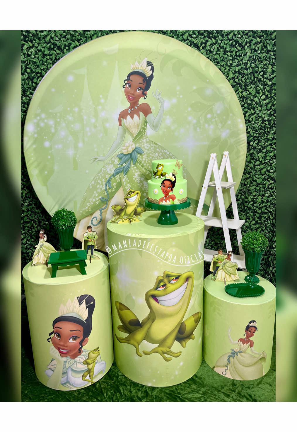 Estou quase lá 🥹✨ Esse tema é lindo de mais,Princesa Tiana😍 #princesatiana #princesas #sapo #festainfantil #aniversario #pegueemonte 