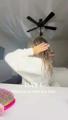 Yall better stay tuned to see the future results 🫶🏻🫶🏻 @Kitsch @lolablankets @Living Proof, Inc. @Shark Beauty @Wet Brush @THE OUAI #savemyhair #bleachedhair #haircare #deadends 