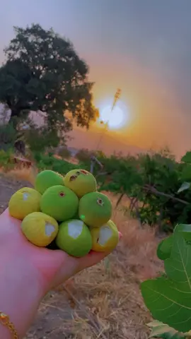 هەندێک جارهەناسەیەک بە ئەندازەی ساڵێک قسەی تێدایە 🥺!