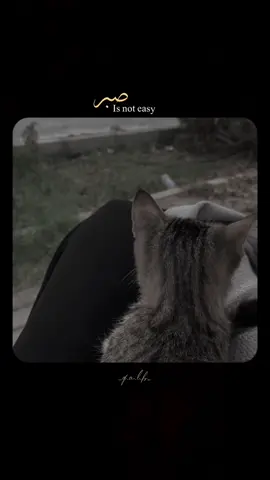 Sbar is not easy~🥺♥️#foryou #foryoupage #viral #viralvideo #islamic #islamic_video #islamic_bayyan #fyp #fyyyyyyyyyyyyyyyyyyy #fypシ゚ 