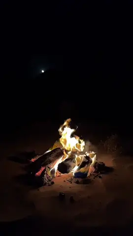 #مشعل_الشراري #شيلات #يا_مفارقه #شيله #💕 