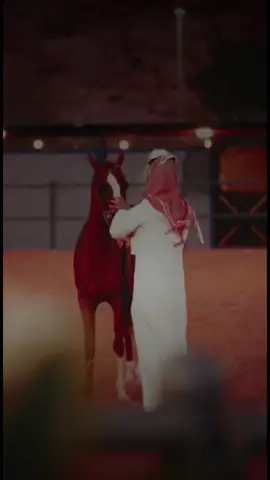#أكسبلور_شعر_حكم_خواطر 