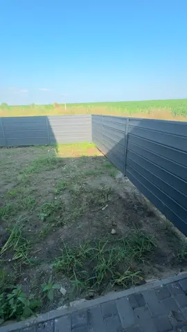 🌿LD🌿маленьке подвірʼя #2025 #топ #ландшафтчернівці 