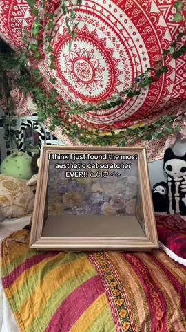 My cat is dead so I had to improvise #fypシ #aesthetic #catsoftiktok 