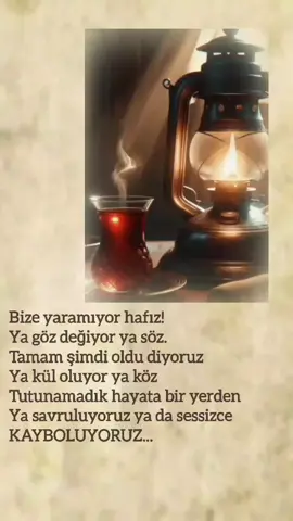 Öyle İşte Hafız...🍂