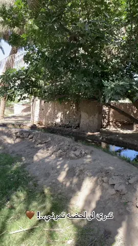 ###تصويري_احترافي_الاجواء👌🏻🕊😴 #حديثه_عذراء_الانبار #حديثتنا❤ #تفاعلكم #الانبار #بروانه_حديثه_حقلانيه #حديثه_مدينتي #ابوياسر_المصور #متابعه_ولايك_واكسبلور_فضلا_ليس_امر 