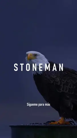 3 pasos para superar a quien te lastimó . La mejor venganza contra la traición no es buscar reemplazos, sino enfocarse en el crecimiento personal. Ignora sus acciones y prioriza el amor propio. La superación y el desarrollo personal son la verdadera victoria. . . . . . . . #motivacion #motivación #videomotivacional #disciplina #desarrollopersonal #crecimientopersonal #masculinidad #stoneman 