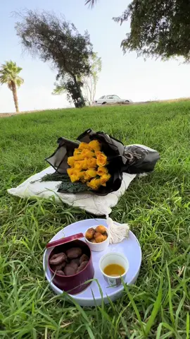#هذالجو_الحلو#هاذي_الجلسه_الحلوه #جلسة_على_المزروع #حدائق #حديقة#مزروع#جو_الطايف_الان #براد 